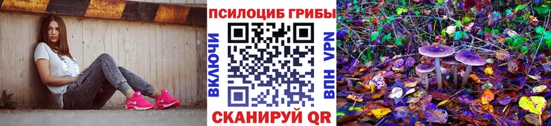 Псилоцибиновые грибы прущие грибы  Стрежевой 