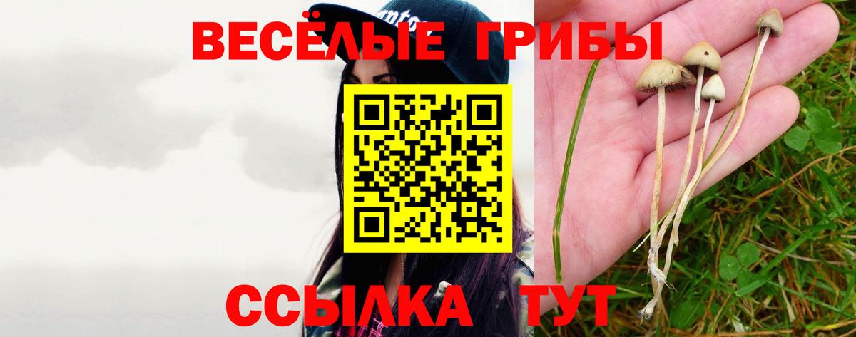 Псилоцибиновые грибы мухоморы Стрежевой